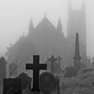 Meet your Posher, Lily